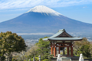 Fujinomiya (Shizuoka)